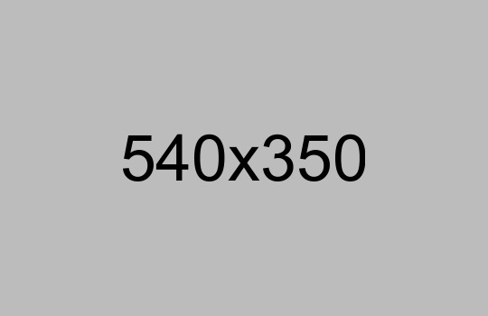 integer-euismod-lacus