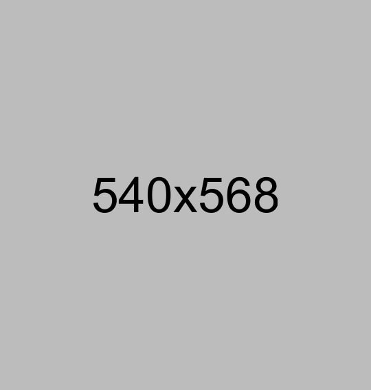 integer-euismod-lacus